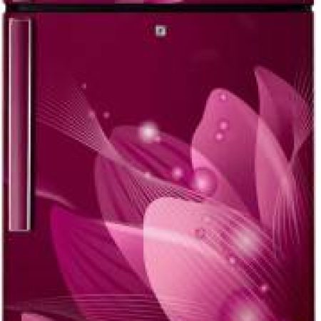 SAMSUNG 253 L Frost Free Double Door 2 Star Convertible Refrigerator